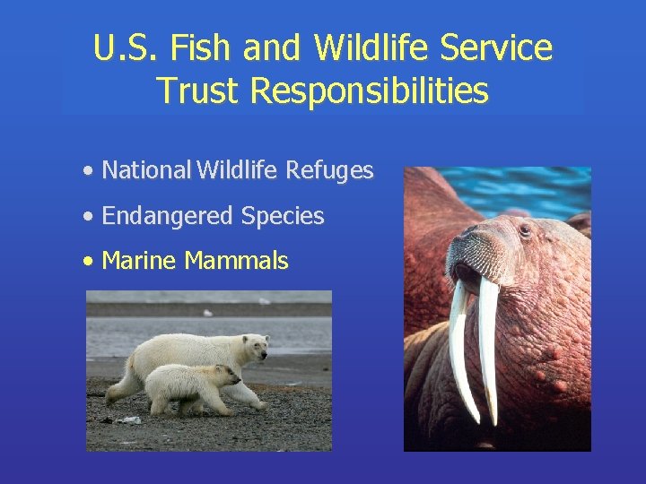 U. S. Fish and Wildlife Service Trust Responsibilities • National Wildlife Refuges • Endangered