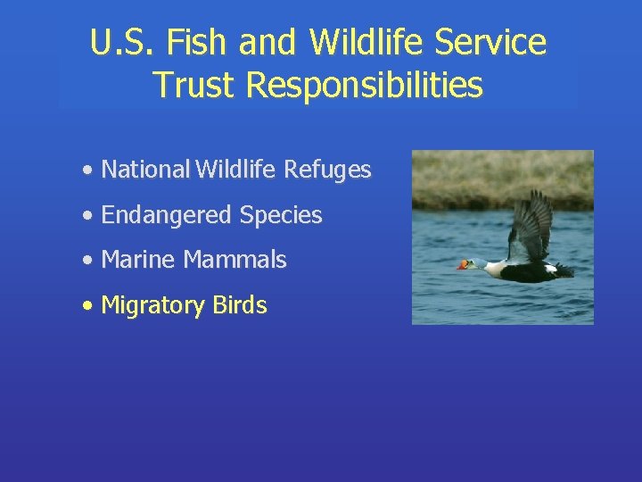 U. S. Fish and Wildlife Service Trust Responsibilities • National Wildlife Refuges • Endangered