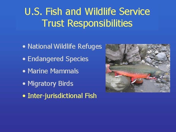 U. S. Fish and Wildlife Service Trust Responsibilities • National Wildlife Refuges • Endangered