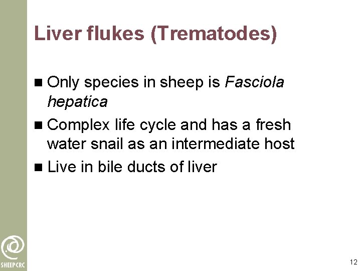 Liver flukes (Trematodes) n Only species in sheep is Fasciola hepatica n Complex life