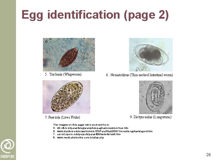 Egg identification (page 2) 5. Trichuris (Whipworm) 7. Fasciola (Liver Fluke) 6. Nematodirus (Thin