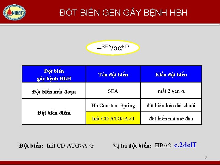 ĐỘT BIẾN GEN G Y BỆNH HBH --SEA/ααND Đột biến gây bệnh Hb. H