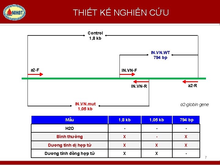 THIẾT KẾ NGHIÊN CỨU Control 1, 8 kb IN. VN. WT 794 bp a