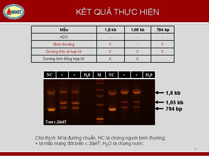KẾT QUẢ THỰC HIỆN Mẫu 1, 8 kb 1, 05 kb 794 bp H