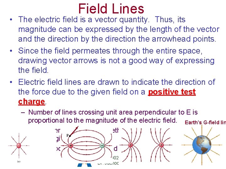 Field Lines • The electric field is a vector quantity. Thus, its magnitude can