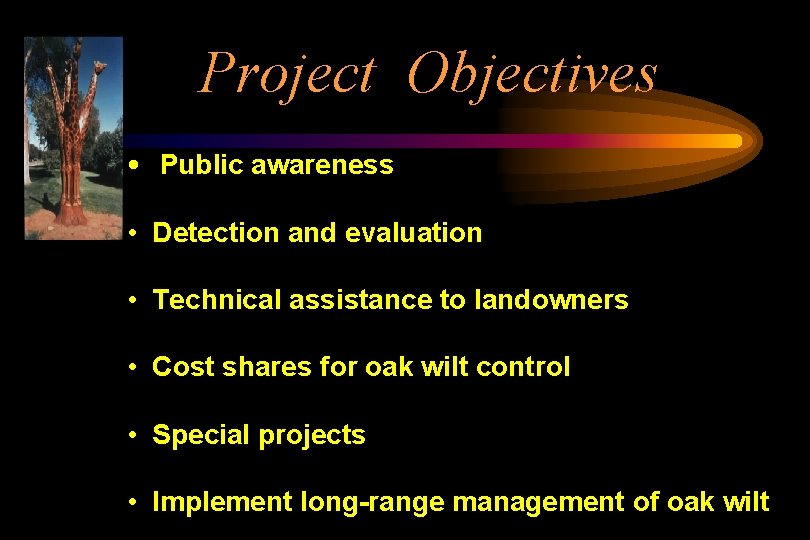 Project Objectives • Public awareness • Detection and evaluation • Technical assistance to landowners