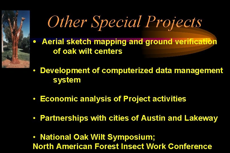 Other Special Projects • Aerial sketch mapping and ground verification of oak wilt centers