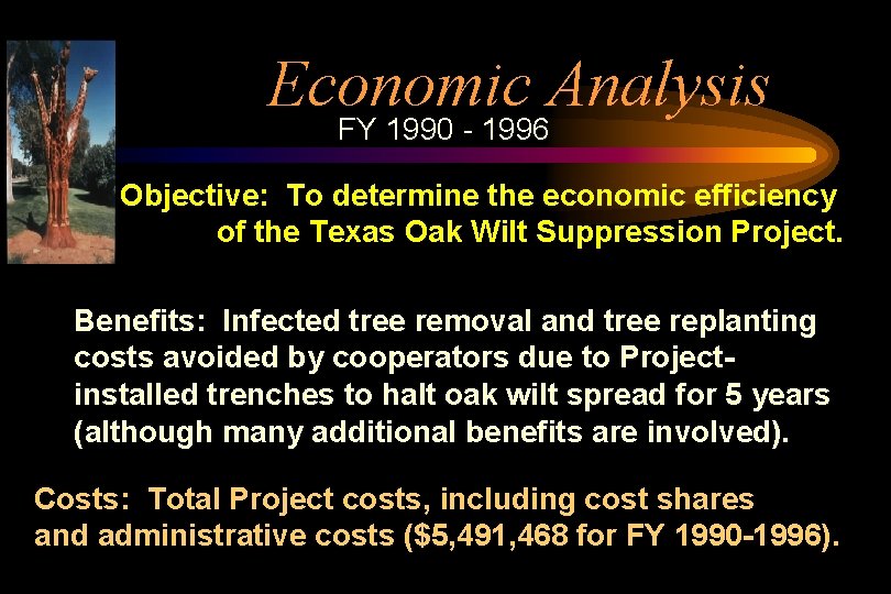 Economic Analysis FY 1990 - 1996 Objective: To determine the economic efficiency of the