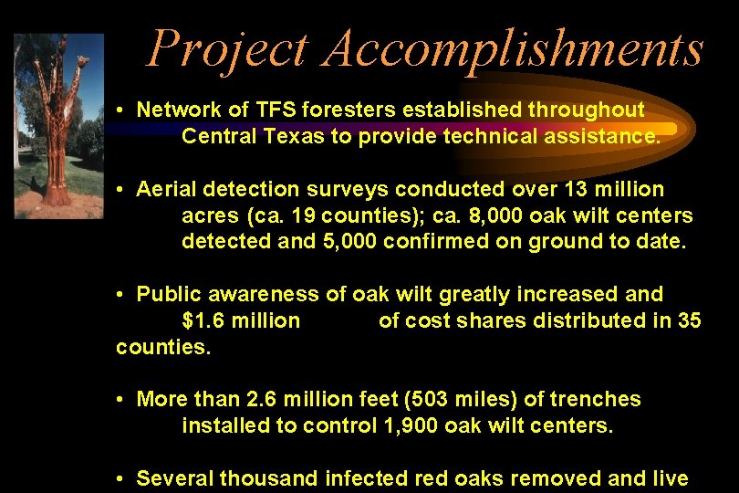 Project Accomplishments • Network of TFS foresters established throughout Central Texas to provide technical