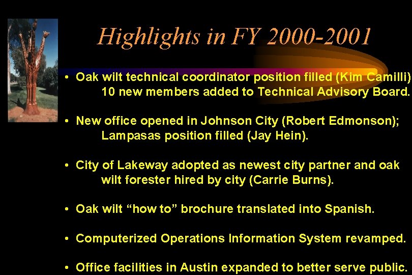 Highlights in FY 2000 -2001 • Oak wilt technical coordinator position filled (Kim Camilli);