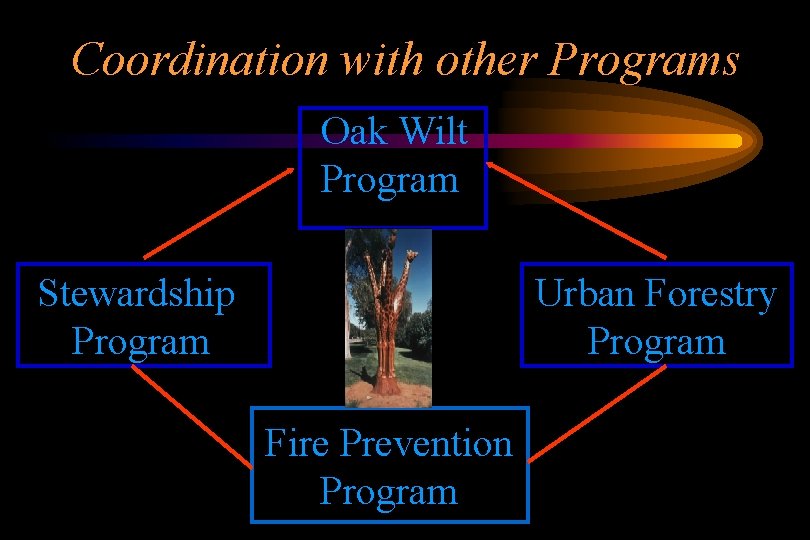 Coordination with other Programs Oak Wilt Program Stewardship Program Urban Forestry Program Fire Prevention