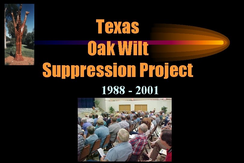 Texas Oak Wilt Suppression Project 1988 - 2001 