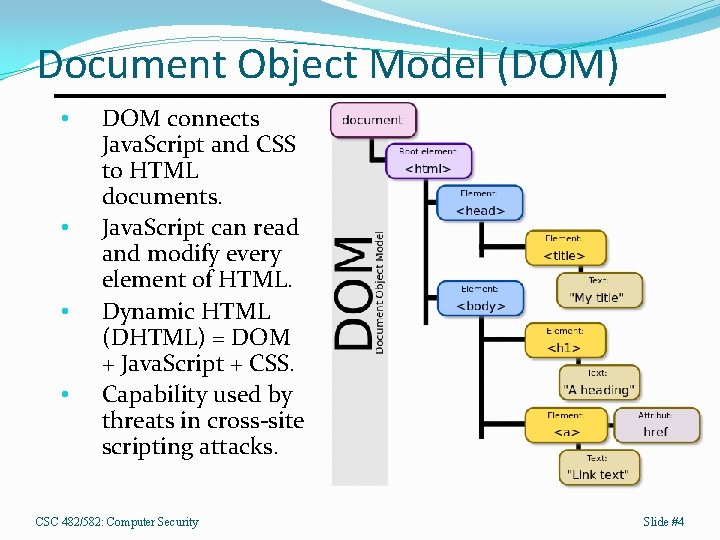 Document Object Model (DOM) • • DOM connects Java. Script and CSS to HTML