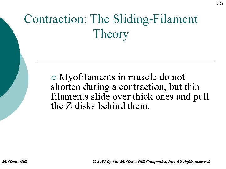 2 -18 Contraction: The Sliding-Filament Theory Myofilaments in muscle do not shorten during a