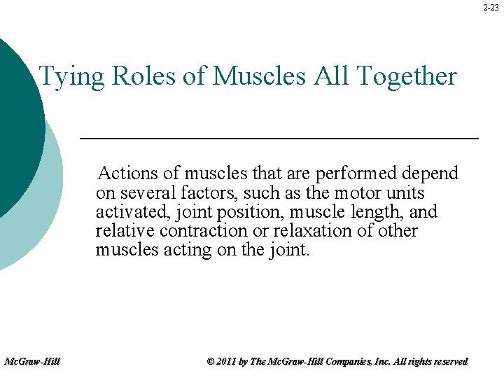 2 -23 Tying Roles of Muscles All Together Actions of muscles that are performed