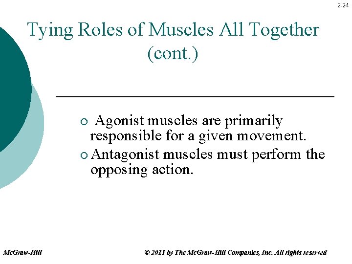 2 -24 Tying Roles of Muscles All Together (cont. ) Agonist muscles are primarily