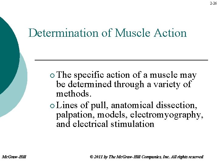 2 -26 Determination of Muscle Action The specific action of a muscle may be