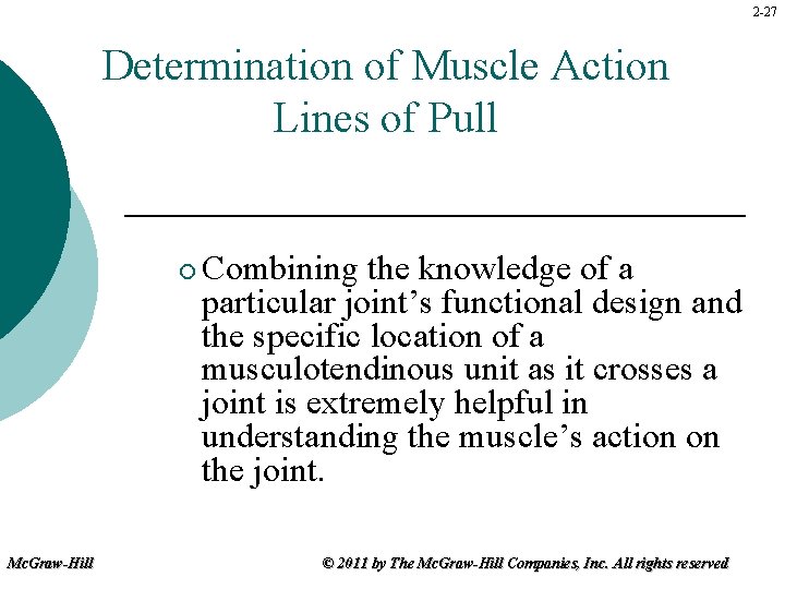 2 -27 Determination of Muscle Action Lines of Pull ¡ Mc. Graw-Hill Combining the