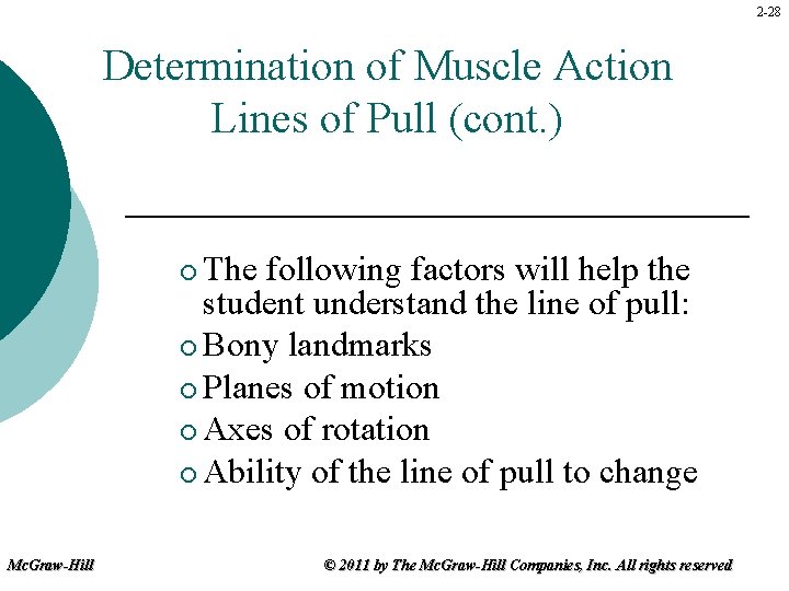 2 -28 Determination of Muscle Action Lines of Pull (cont. ) The following factors