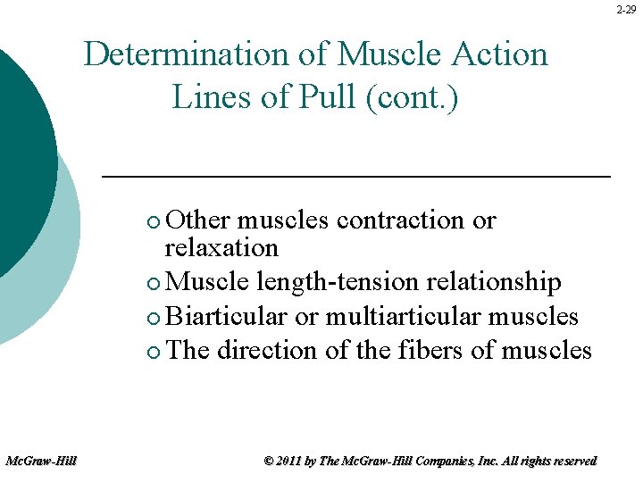 2 -29 Determination of Muscle Action Lines of Pull (cont. ) Other muscles contraction