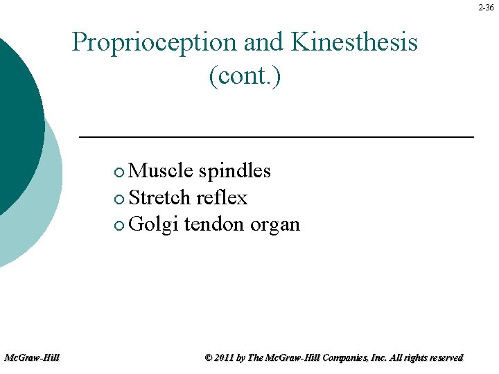 2 -36 Proprioception and Kinesthesis (cont. ) Muscle spindles ¡ Stretch reflex ¡ Golgi