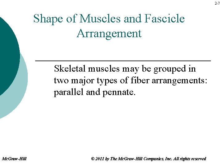 2 -7 Shape of Muscles and Fascicle Arrangement Skeletal muscles may be grouped in