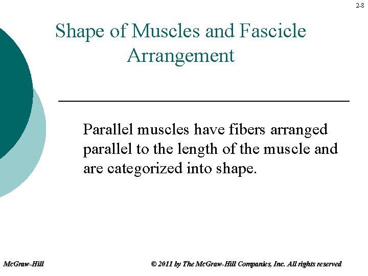 2 -8 Shape of Muscles and Fascicle Arrangement Parallel muscles have fibers arranged parallel