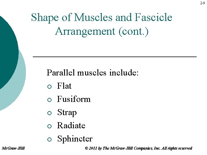 2 -9 Shape of Muscles and Fascicle Arrangement (cont. ) Parallel muscles include: ¡