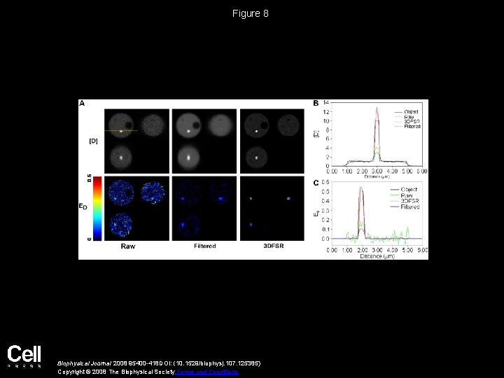 Figure 8 Biophysical Journal 2008 95400 -418 DOI: (10. 1529/biophysj. 107. 125385) Copyright ©