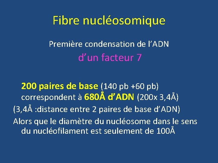 Fibre nucléosomique Première condensation de l’ADN d’un facteur 7 200 paires de base (140