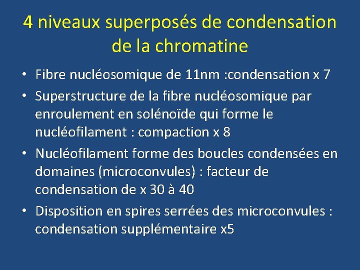 4 niveaux superposés de condensation de la chromatine • Fibre nucléosomique de 11 nm