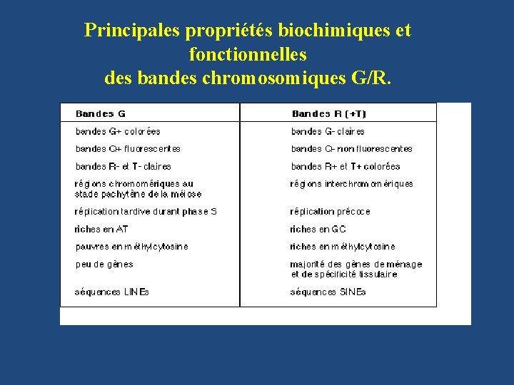 Principales propriétés biochimiques et fonctionnelles des bandes chromosomiques G/R. 