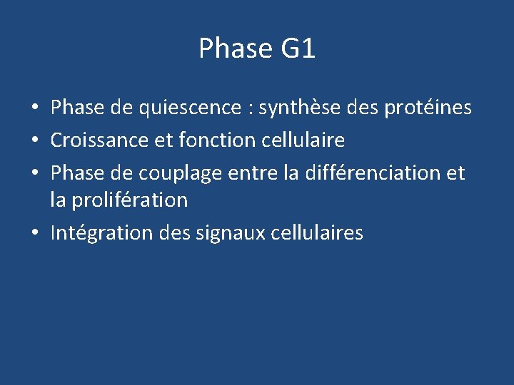 Phase G 1 • Phase de quiescence : synthèse des protéines • Croissance et