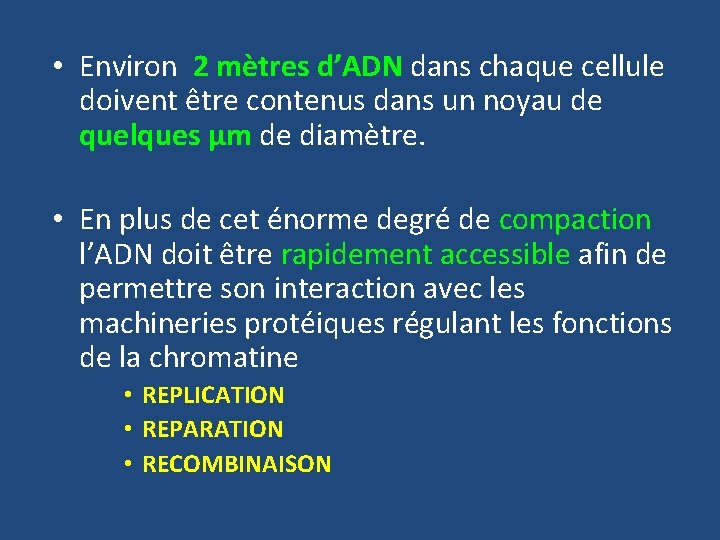  • Environ 2 mètres d’ADN dans chaque cellule doivent être contenus dans un