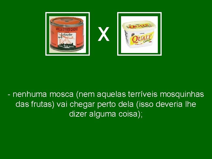 X - nenhuma mosca (nem aquelas terríveis mosquinhas das frutas) vai chegar perto dela