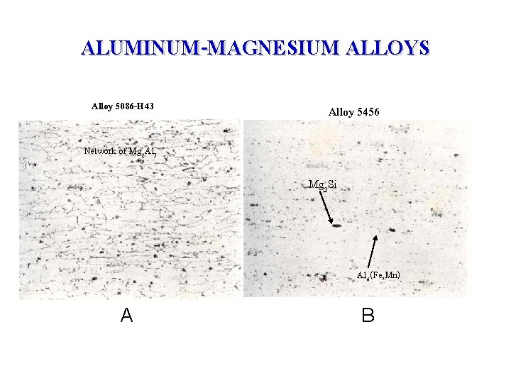 ALUMINUM-MAGNESIUM ALLOYS Alloy 5086 -H 43 Alloy 5456 Network of Mg 2 Al 3