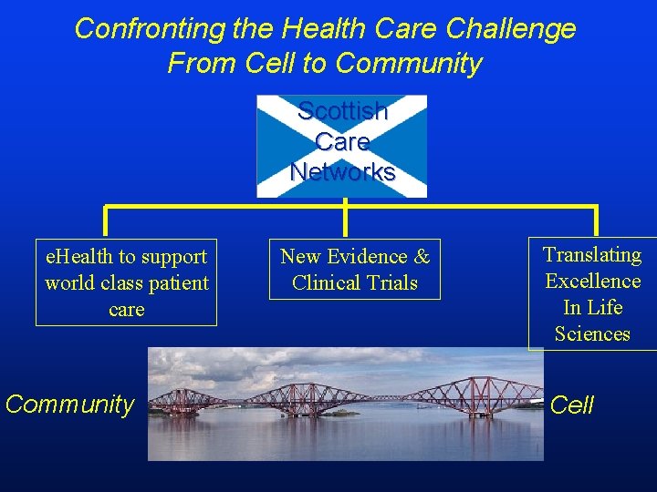 Confronting the Health Care Challenge From Cell to Community Scottish Care Networks e. Health