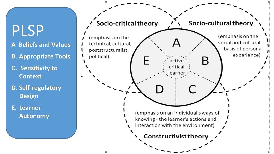 PLSP A Beliefs and Values B. Appropriate Tools C. Sensitivity to Context D. Self-regulatory