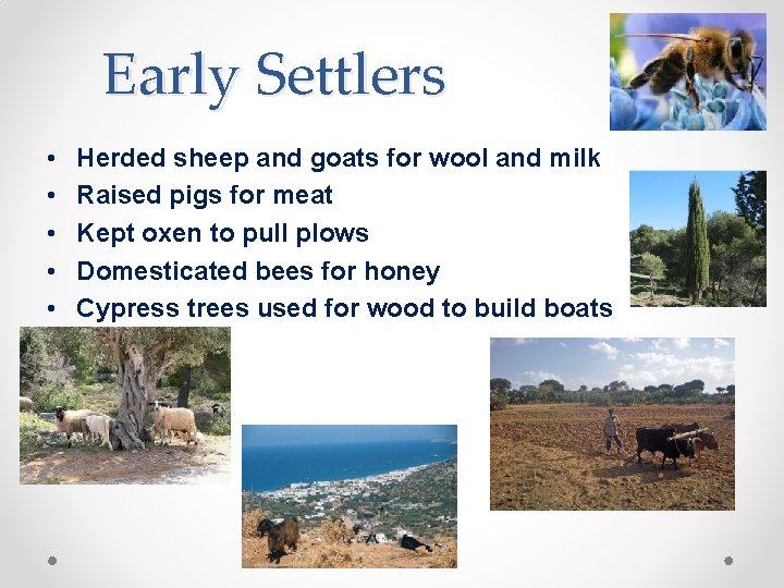 Early Settlers • • • Herded sheep and goats for wool and milk Raised