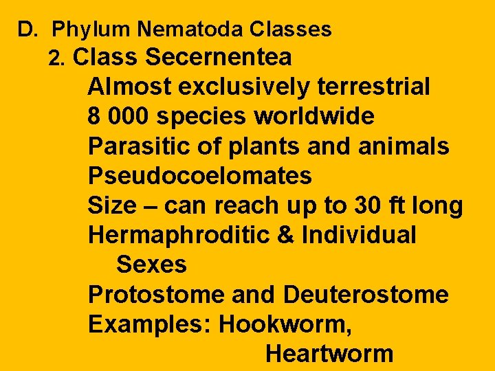 D. Phylum Nematoda Classes 2. Class Secernentea Almost exclusively terrestrial 8 000 species worldwide D. Phylum Nematoda Classes 2. Class Secernentea Almost exclusively terrestrial 8 000 species worldwide