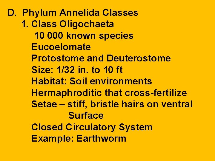 D. Phylum Annelida Classes 1. Class Oligochaeta 10 000 known species Eucoelomate Protostome and D. Phylum Annelida Classes 1. Class Oligochaeta 10 000 known species Eucoelomate Protostome and