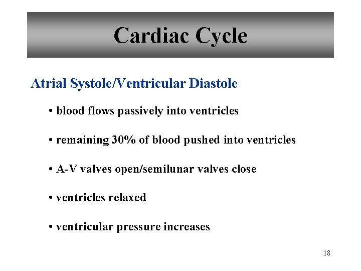 Cardiac Cycle Atrial Systole/Ventricular Diastole • blood flows passively into ventricles • remaining 30%