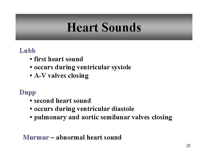 Heart Sounds Lubb • first heart sound • occurs during ventricular systole • A-V