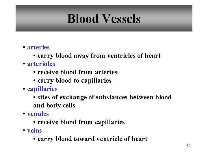 Blood Vessels • arteries • carry blood away from ventricles of heart • arterioles