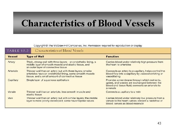 Characteristics of Blood Vessels 43 