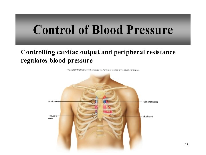 Control of Blood Pressure Controlling cardiac output and peripheral resistance regulates blood pressure 48