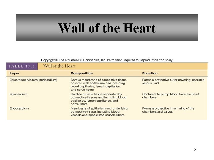 Wall of the Heart 5 
