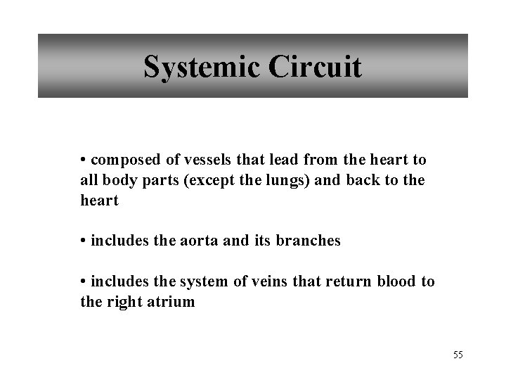 Systemic Circuit • composed of vessels that lead from the heart to all body