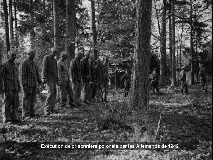 Exécution de prisonniers polonais par les Allemands de 1942 
