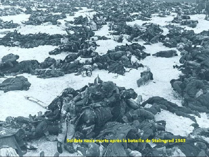 Soldats nazis morts après la bataille de Stalingrad 1943 